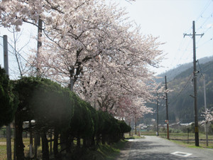 Img_9298_r
