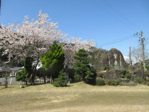 Img_9315_r