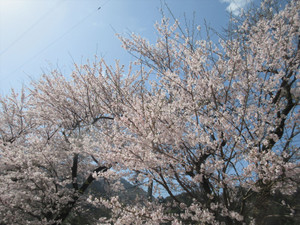 Img_9324_r